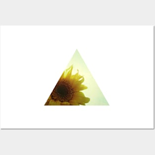 Sunflower Posters and Art